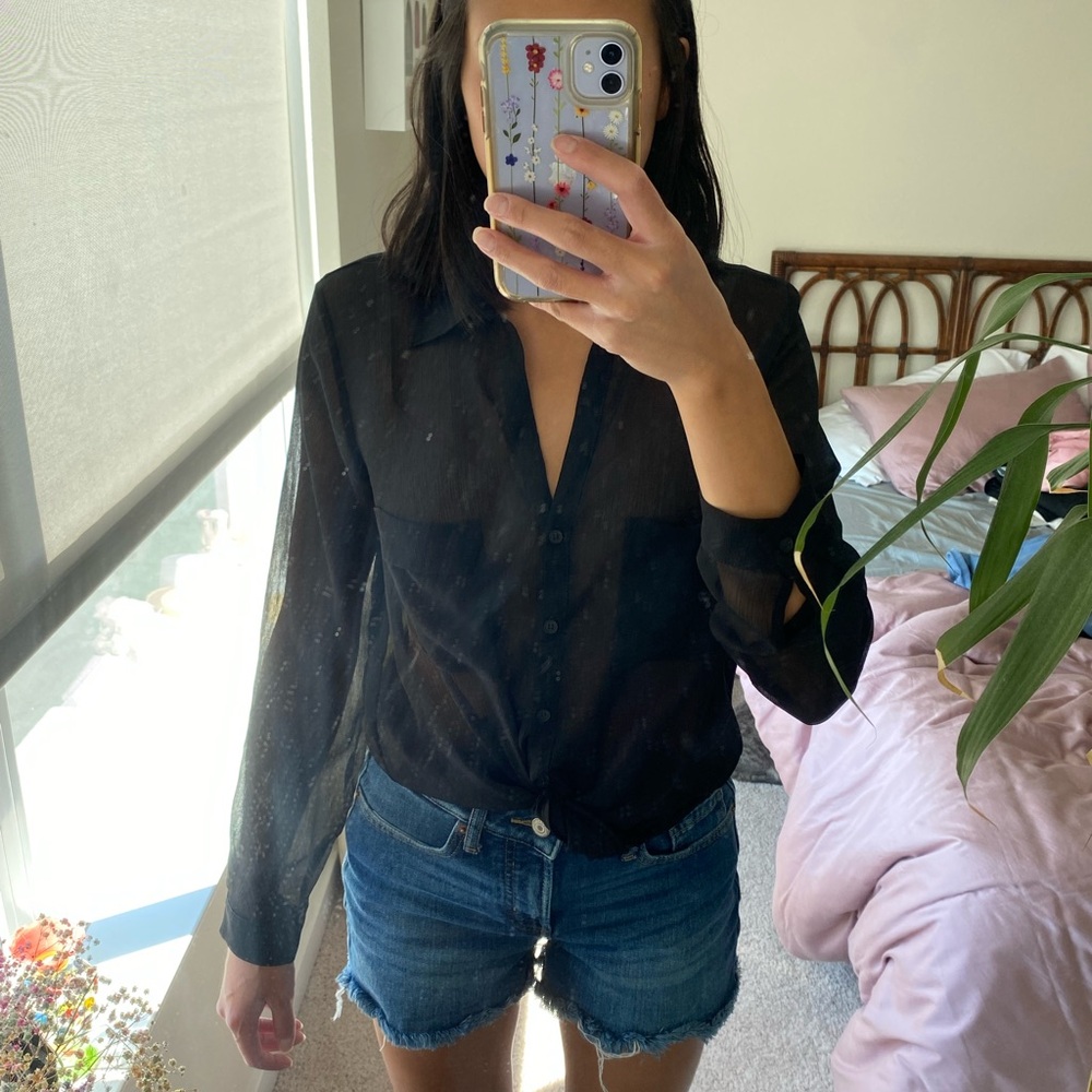 Pleione Black Sheer Blouse